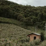 Imagem de uma casinha no campo