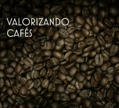 Imagem de vários grãos de café